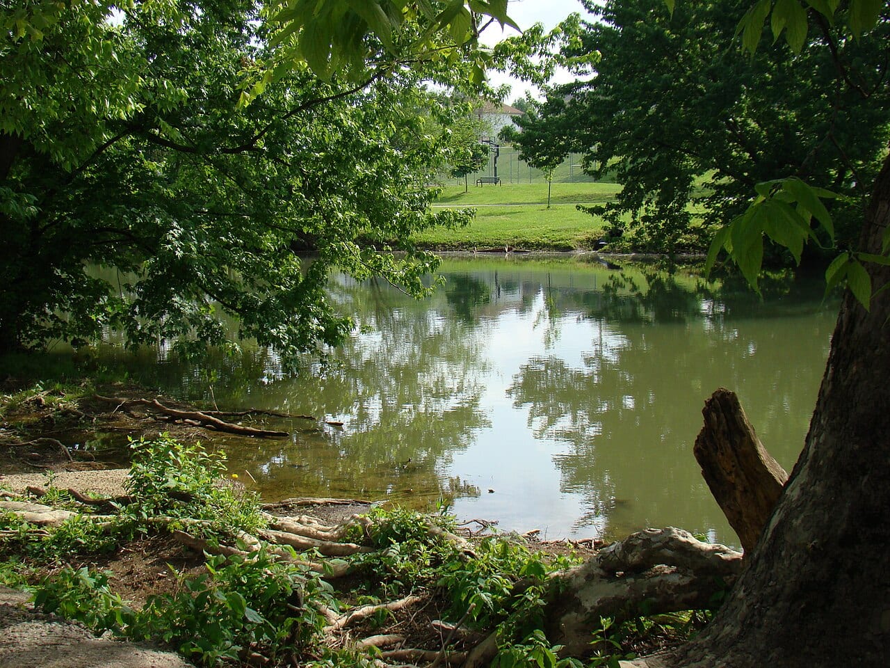 North Fork of Elkhorn Creek at Georgetown (photographed 2008); Johnson's Station stood at the creek's bison ford, Great Crossing, about three miles west