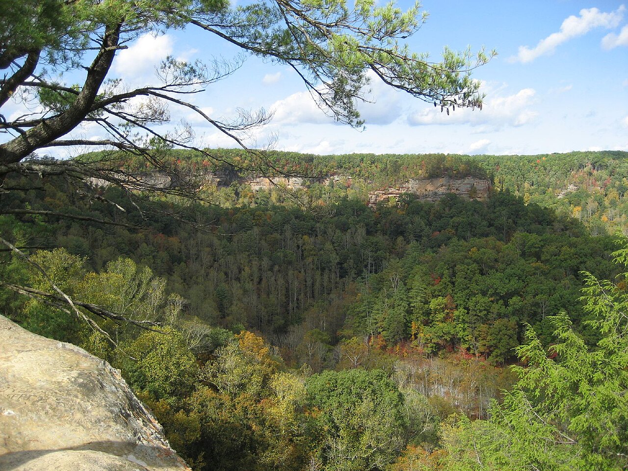 Sandstone cliffs in the Red River Gorge Geological Area