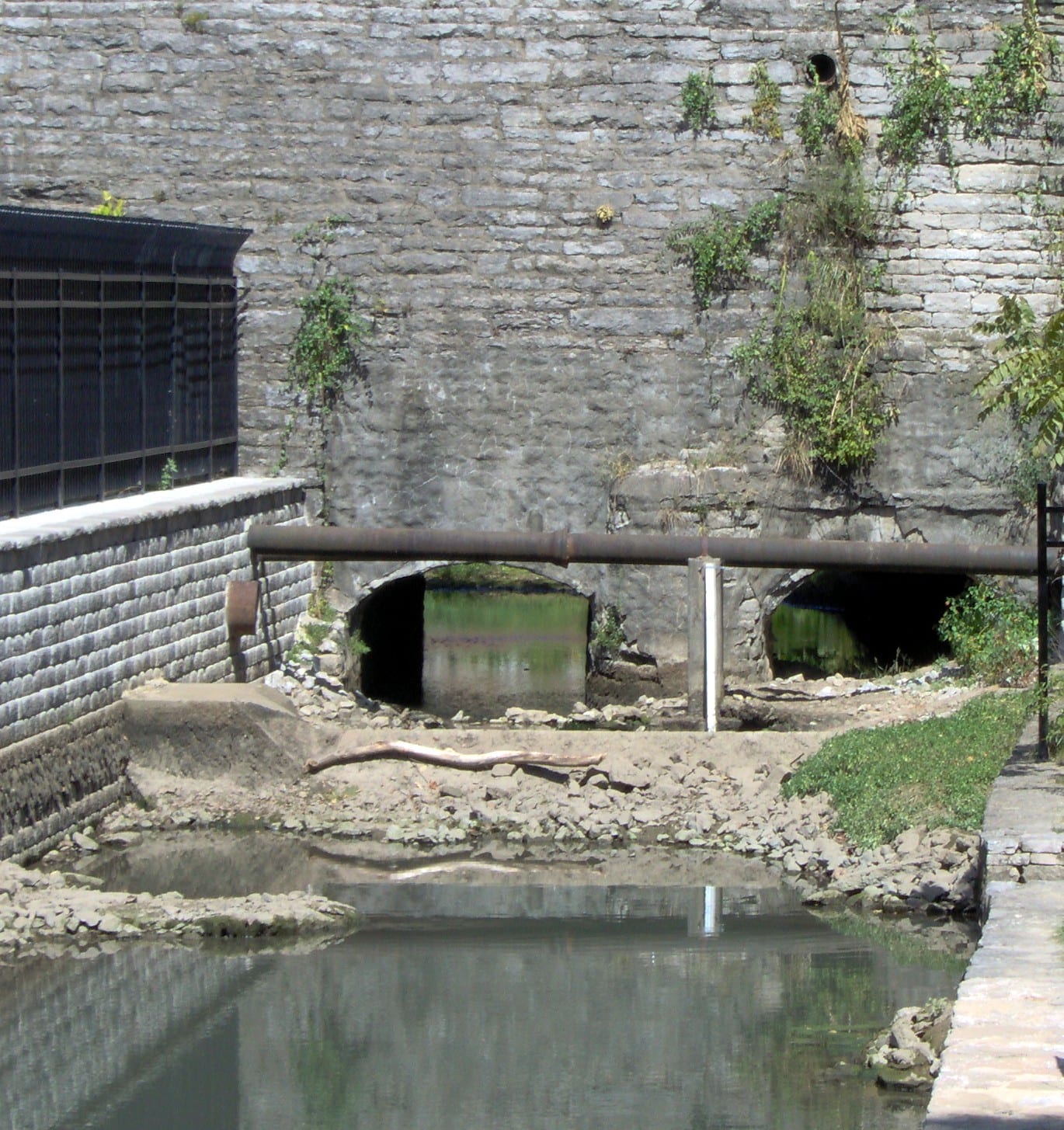 Royal Spring, Georgetown's water source since 1775