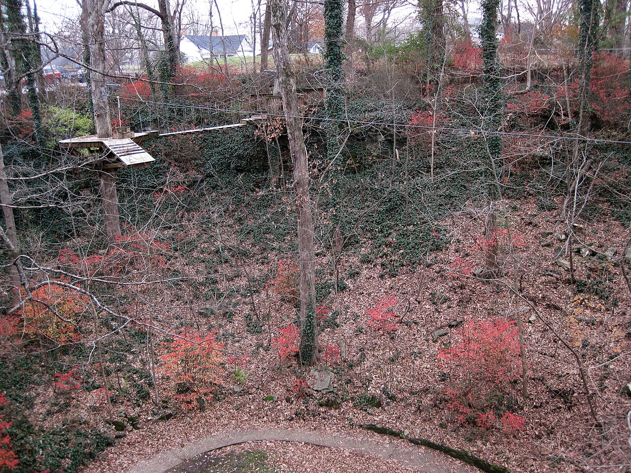 The sinkhole entrance to Hidden River Cave in Horse Cave (photographed 2022)