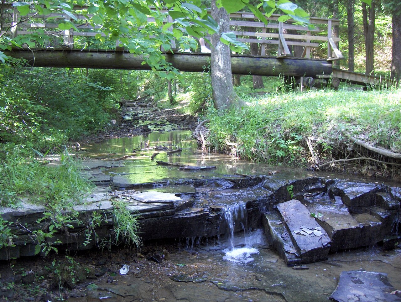 Bee Lick Creek (photographed 2005), a nearby landscape in Jefferson Memorial Forest; no historic image of Mann’s Lick is known