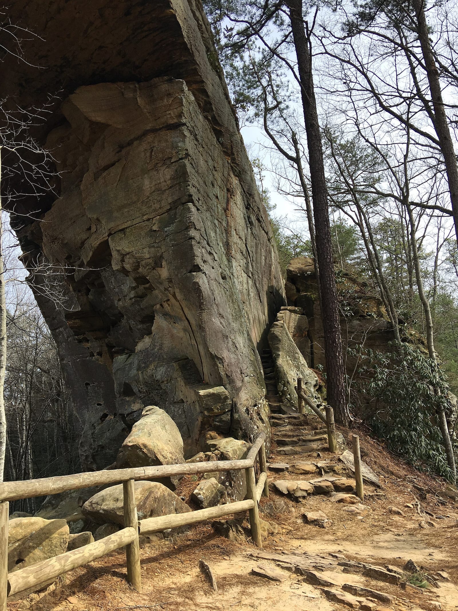 Steps up to the arch at Natural Bridge State Resort Park
