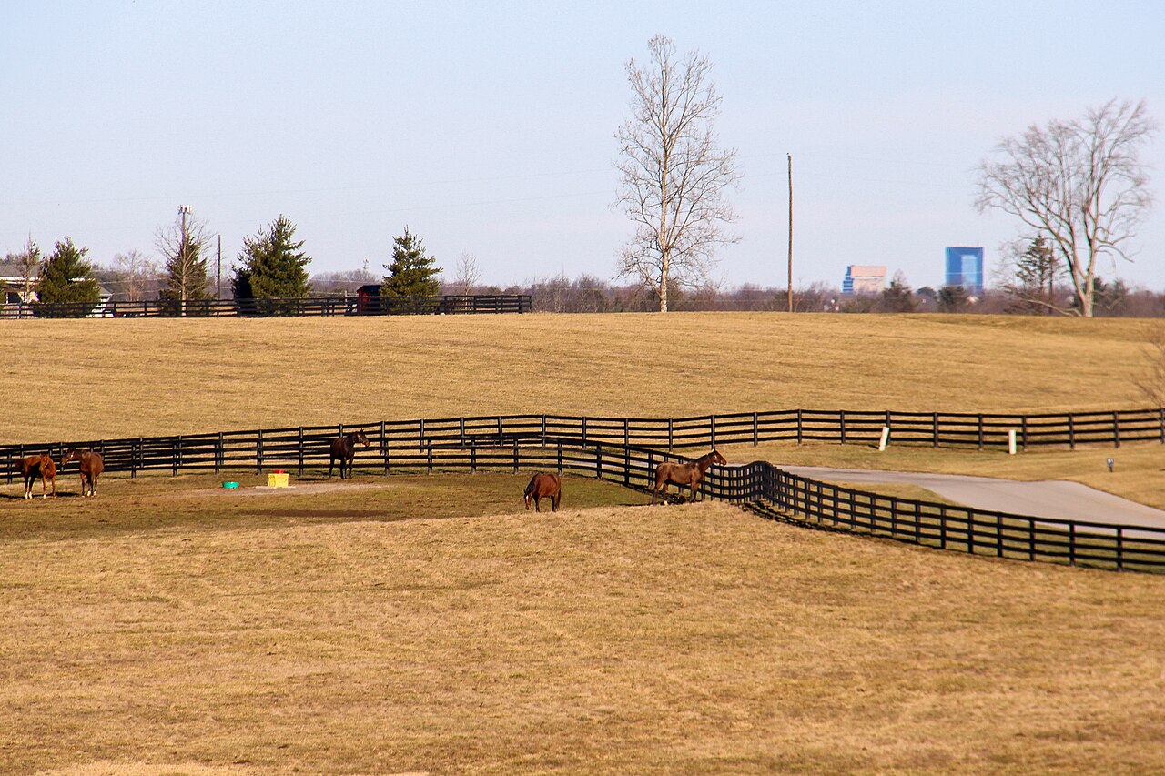 Horses on Inner Bluegrass pasture, Lexington–Fayette County (phosphatic limestone soils)