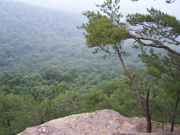 Pilot Knob State Nature Preserve, Powell County (uploaded 2008)