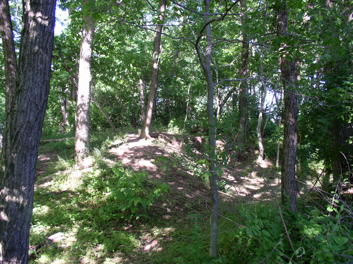 The Rowlandton platform mound in Paducah, with a pit dug by archaeologists