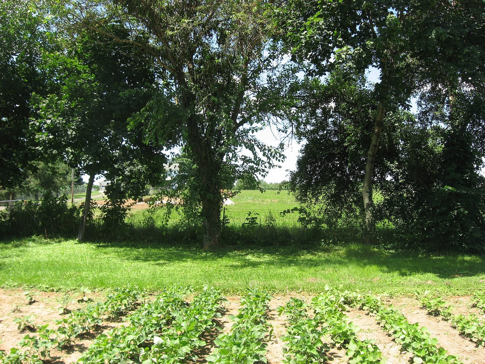 Fields at Oldtown near Xenia, Greene County, Ohio, site of Old Chillicothe