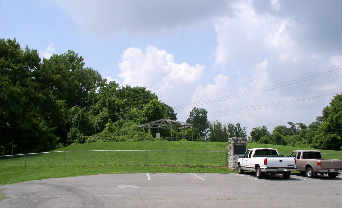 Wickliffe Mound A — contemporary Mississippian neighbor a few miles southeast of Twin Mounds (15Ba2); not the Twin Mounds earthworks themselves