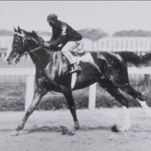 Portrait of Jimmy Winkfield
