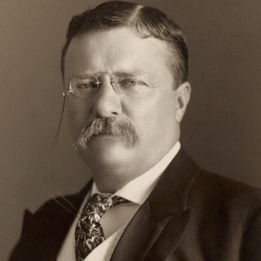 Portrait of Theodore Roosevelt